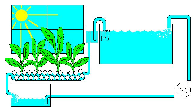 Схема работы растительного фильтра.