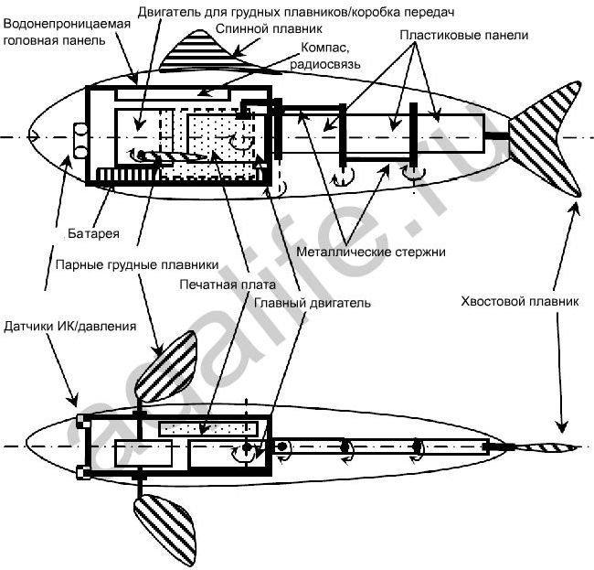 Схематическая структура MT1 рыбы-робота.