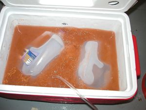 Артемии, хранимые в холоде: бутылки со льдом для температурного контроля и трубка с воздухом для аэрации