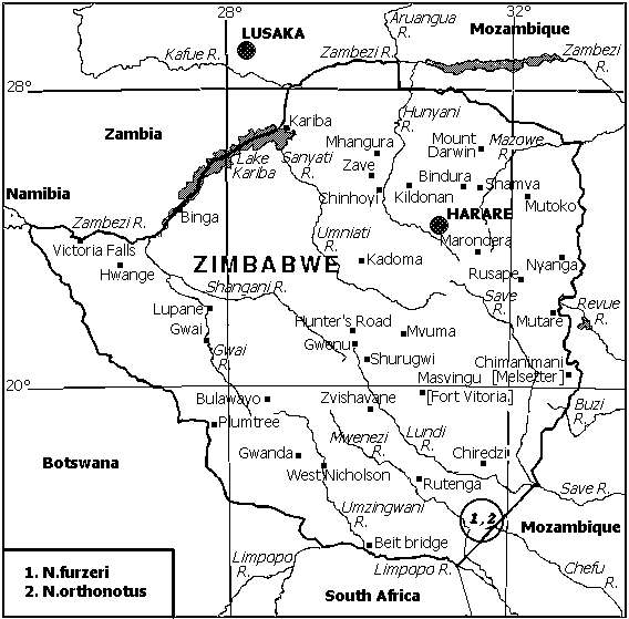 Локализация N.furzeri в Зимбабве