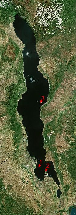 На иллюстрации озеро Малави. 1. Остров Малери; 2. Кейп Маклер; 3. Остров Ликома 