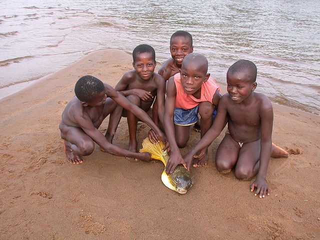Мбу, выловленный в Убанги, главном правом притоке реки Конго в Центральной Африке.