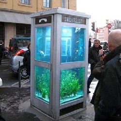Телефонная будка в эпоху сотовой связи годится в качестве аквариума.