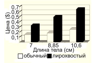Таблица "стоимость/длина тела"